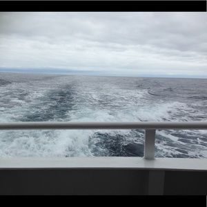 Meet your Posher, Erika